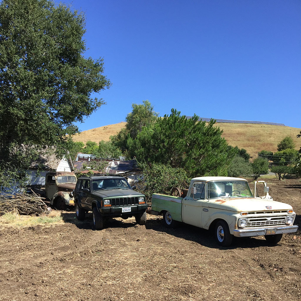 1941 ford truck field find